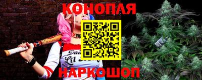 гашик Донской