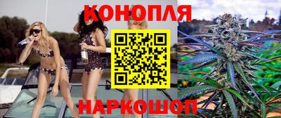 гашик Донской