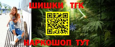 гашик Донской
