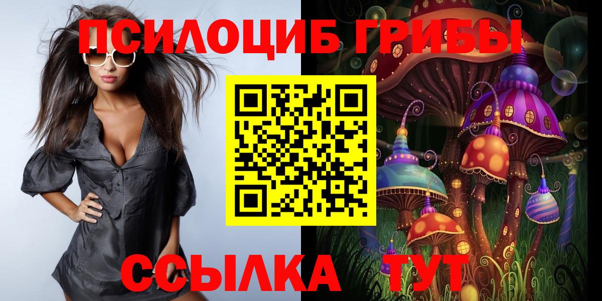 Галлюциногенные грибы Psilocybine cubensis Краснотурьинск