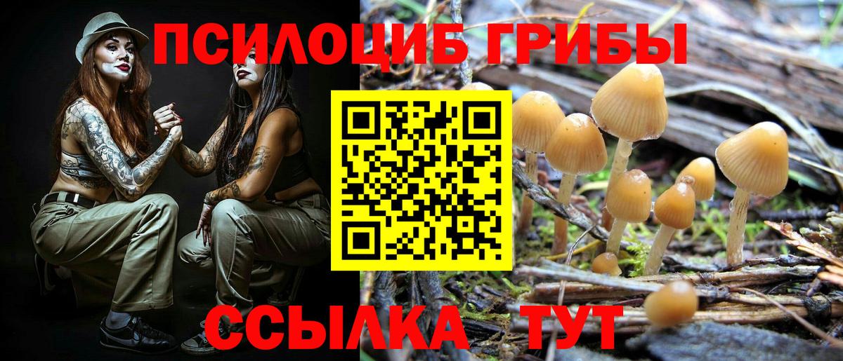 Краснотурьинск  Галлюциногенные грибы ЛСД  Вход с VPN 